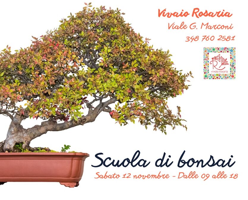 Scuola di bonsai – Sabato 12 novembre
